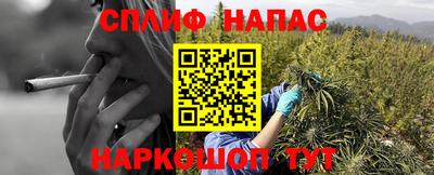 прущие крисы Тара