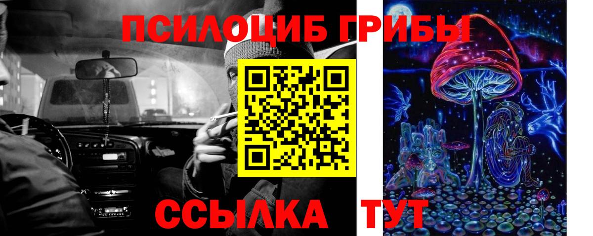 Отрадный  Галлюциногенные грибы MAGIC MUSHROOMS  Вход с VPN 